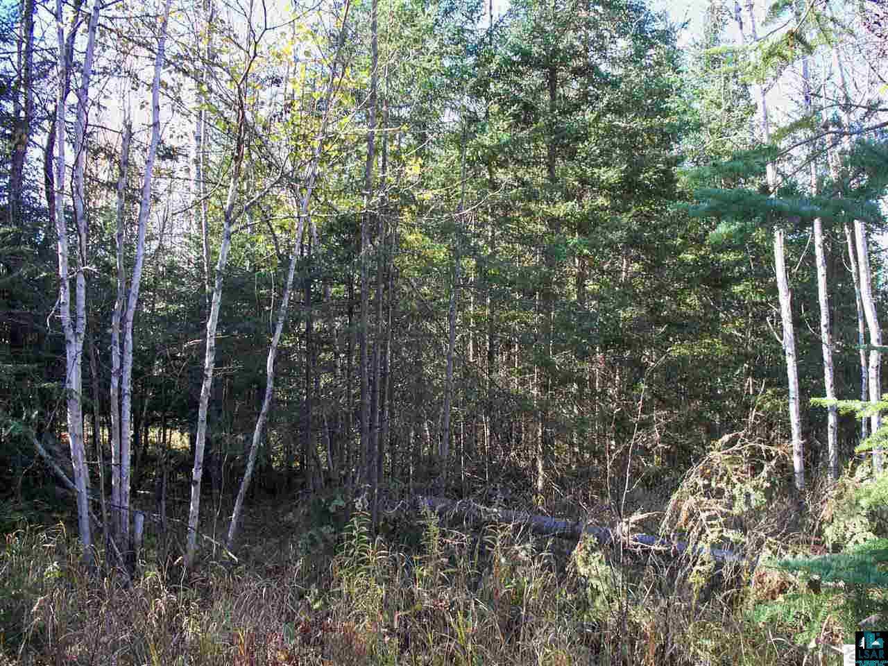 Bayfield County, Wisconsin Land for Sale