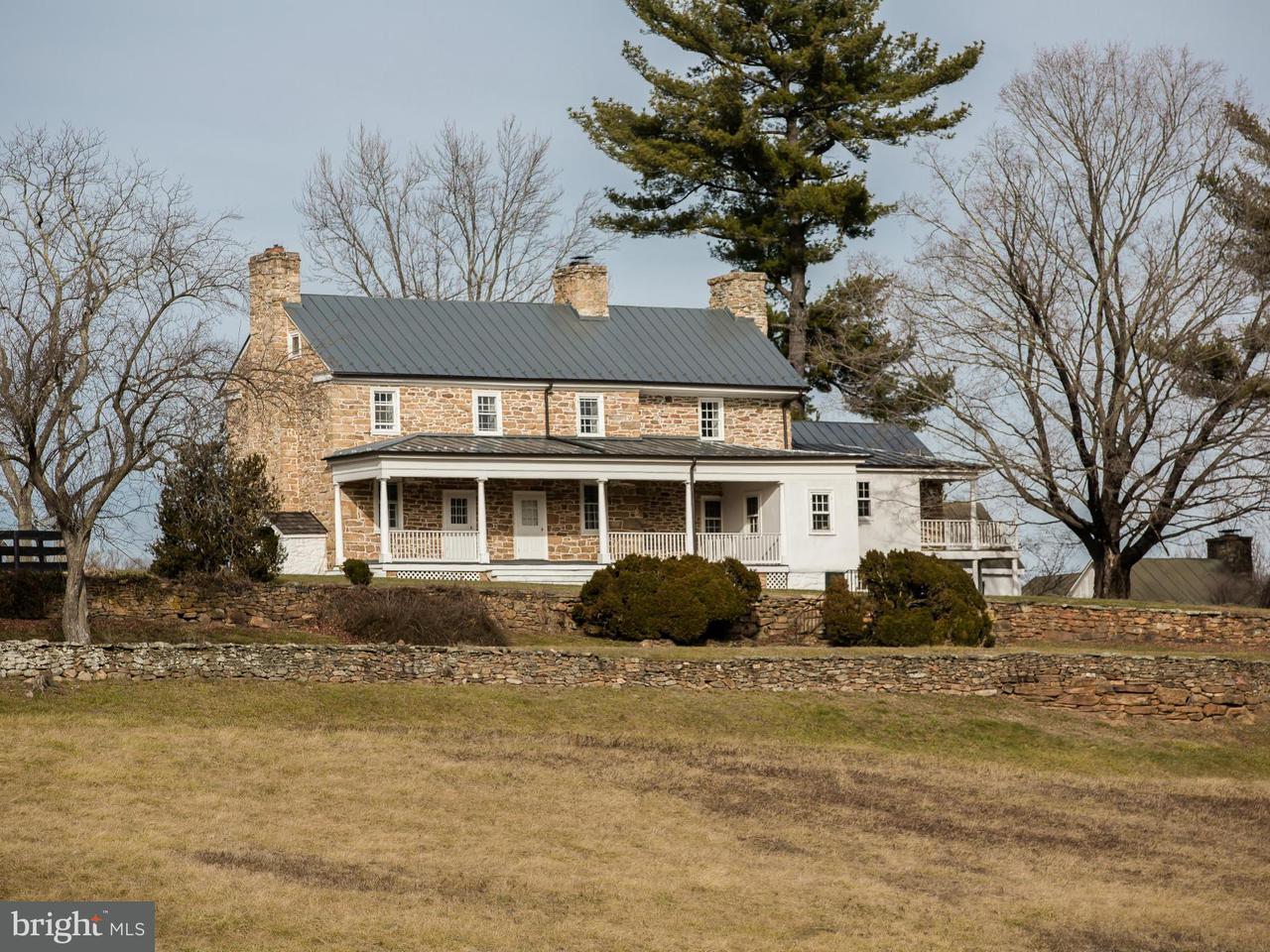 Luxury Real Estate Listings in The Plains, Virginia, United States