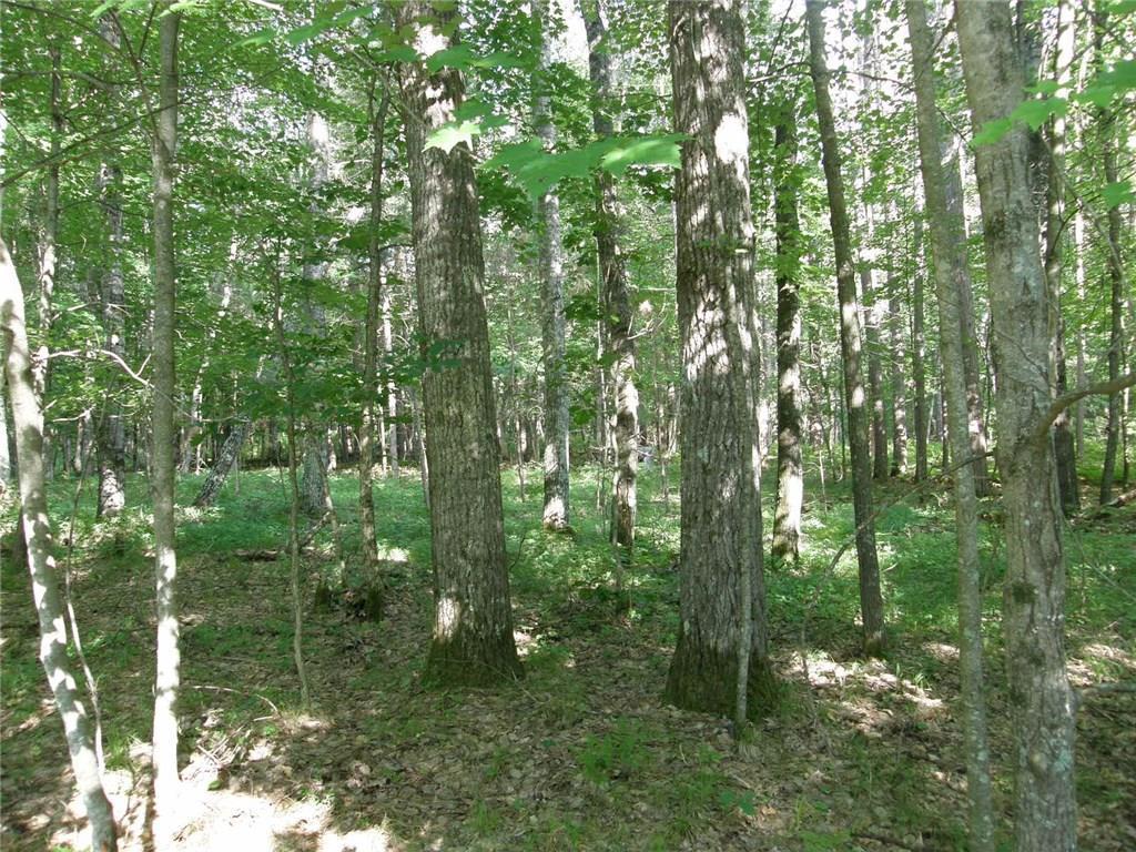 County, Wisconsin Land for Sale