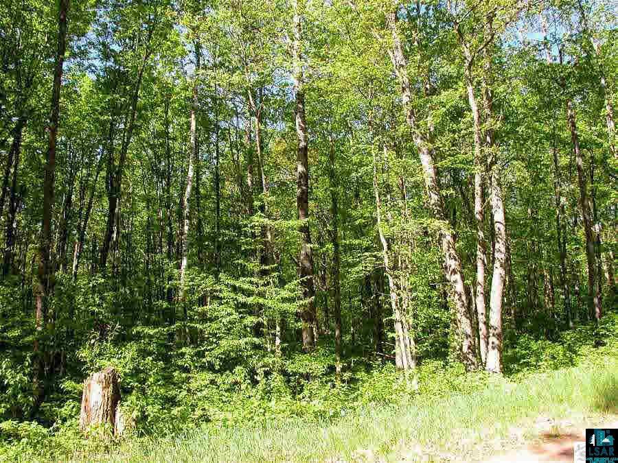 Bayfield County, Wisconsin Land for Sale